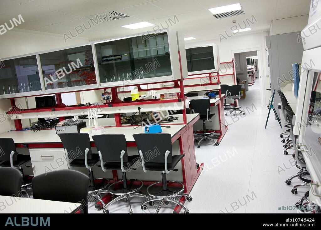 BioMEMS laboratory Research of surface chemistry and biological interactions for BioMEMS bio functionalization Microelectronics and Microsystems Unit CEIT Center of Studies and Technical Research University of Navarra, Donostia, Gipuzkoa, Basque Country, Spain.