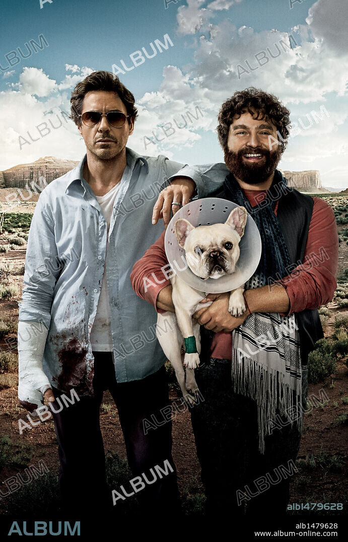 ZACH GALIFIANAKIS en SALIDOS DE CUENTAS, 2010 (DUE DATE), dirigida por TODD PHILLIPS. Copyright WARNER BROS PICTURES.