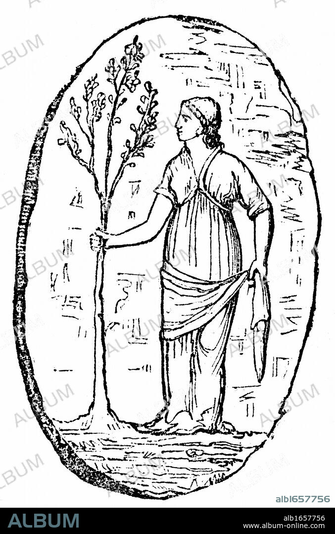 Minerva, Ancient Roman goddess, Pallas Athena in the Greek pantheon. Minerva holding a young olive tree. According to legend she created the olive as the most necessary and useful present to man. Engraving after a seal from Ithaca.