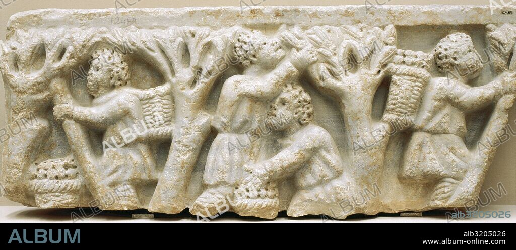 ARTE ROMANO. ESPAÑA. Relieve con la representación de LA RECOGIDA DE LA ACEITUNA. Córdoba (finales siglo III-principios siglo IV d. C.). Museo Arqueológico de Córdoba. Andalucía.