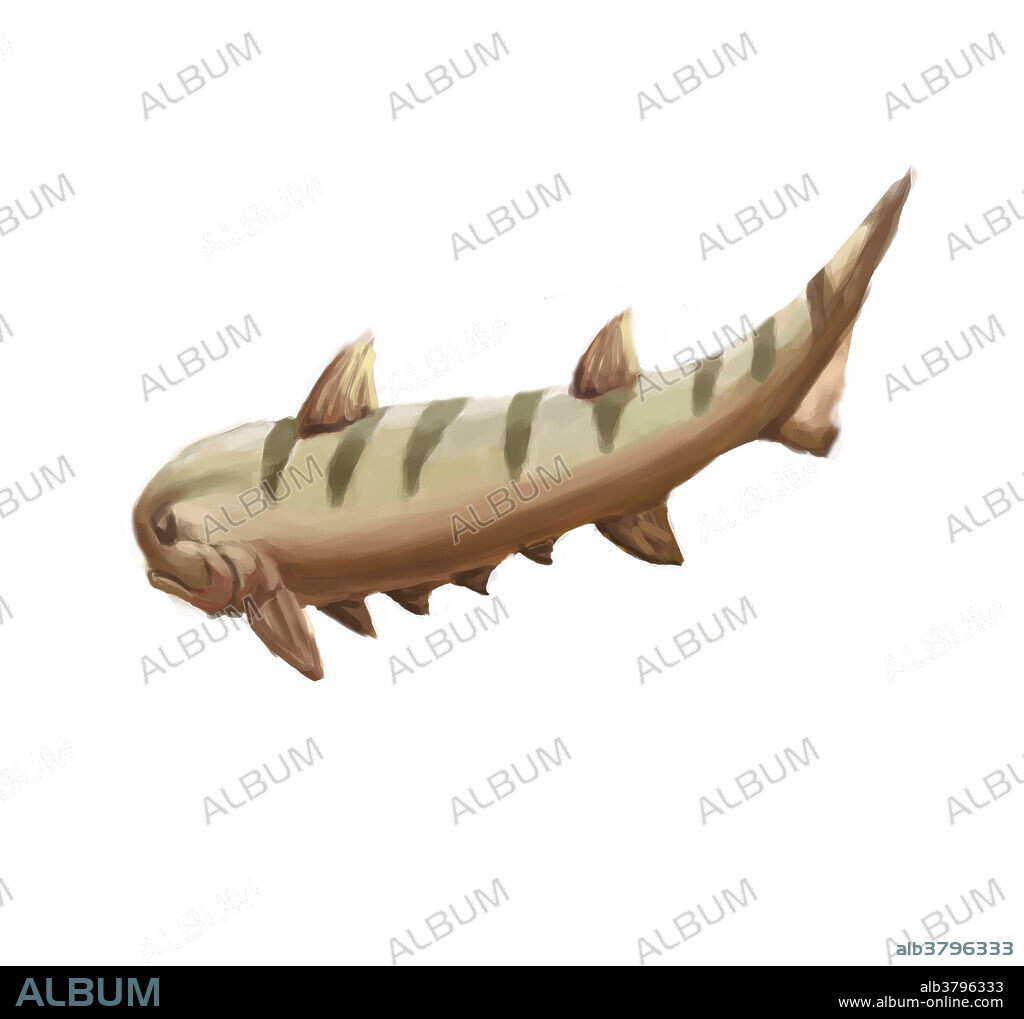 Illustration of a Climatius. The Climatius is an extinct genus of the spiny fishlike vertebrates called acanthodians. Climatius had two dorsal fins and numerous paired ventral fins, each with a supporting spine. Fossils of these extinct animals are commonly found in the Devonian rocks in Europe and North America.