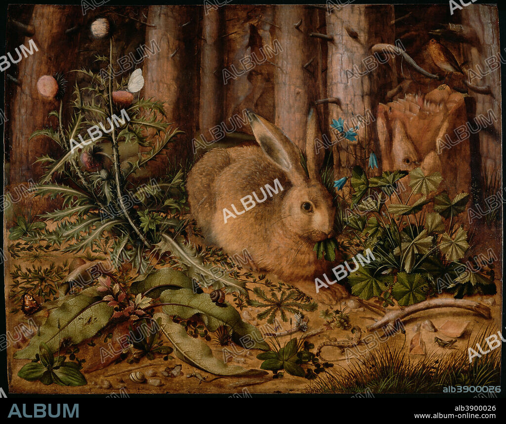 HANS HOFFMANN. A Hare in the Forest. Date/Period: Ca. 1585. Painting. Oil on panel. Height: 622 mm (24.48 in); Width: 784 mm (30.86 in).