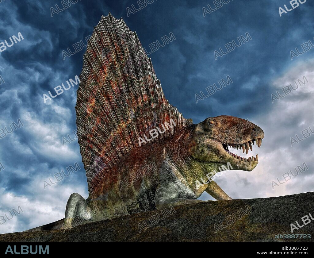 Dimetrodon was an extinct genus of synapsid that lived during the Early Permian, around 295–272 million years ago.