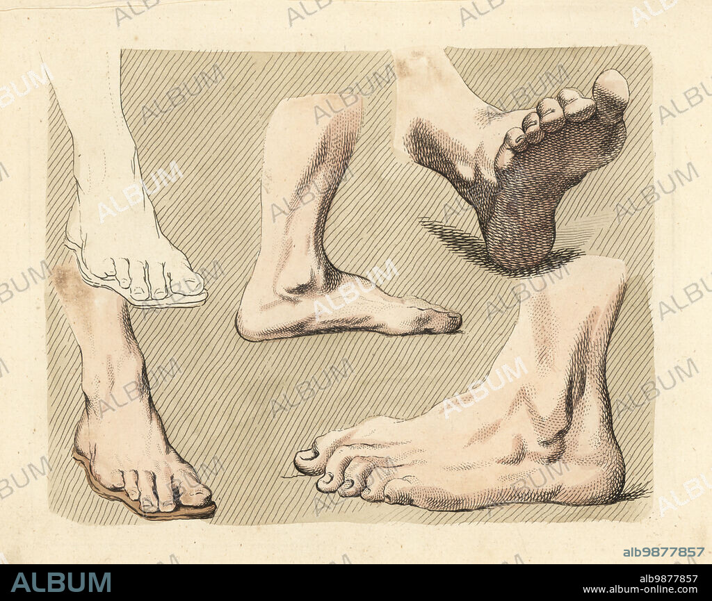 Figures of male feet, toes, ankles, from paintings by an old master in an 18th century art tutorial book. Handcoloured copperplate engraving from Robert Sayers The Artists Vade Mecum, Being the Whole Art of Drawing, London, 1766.
