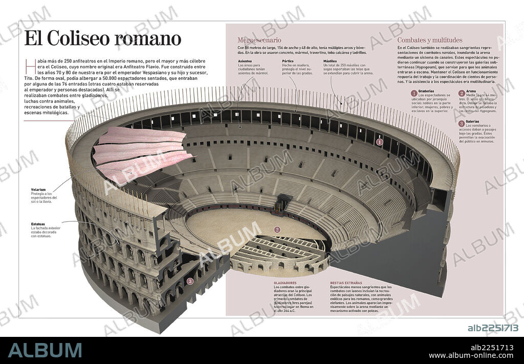 El Coliseo romano. Infografía sobre el primer gran anfiteatro: el Coliseo romano (siglo I d.C.).