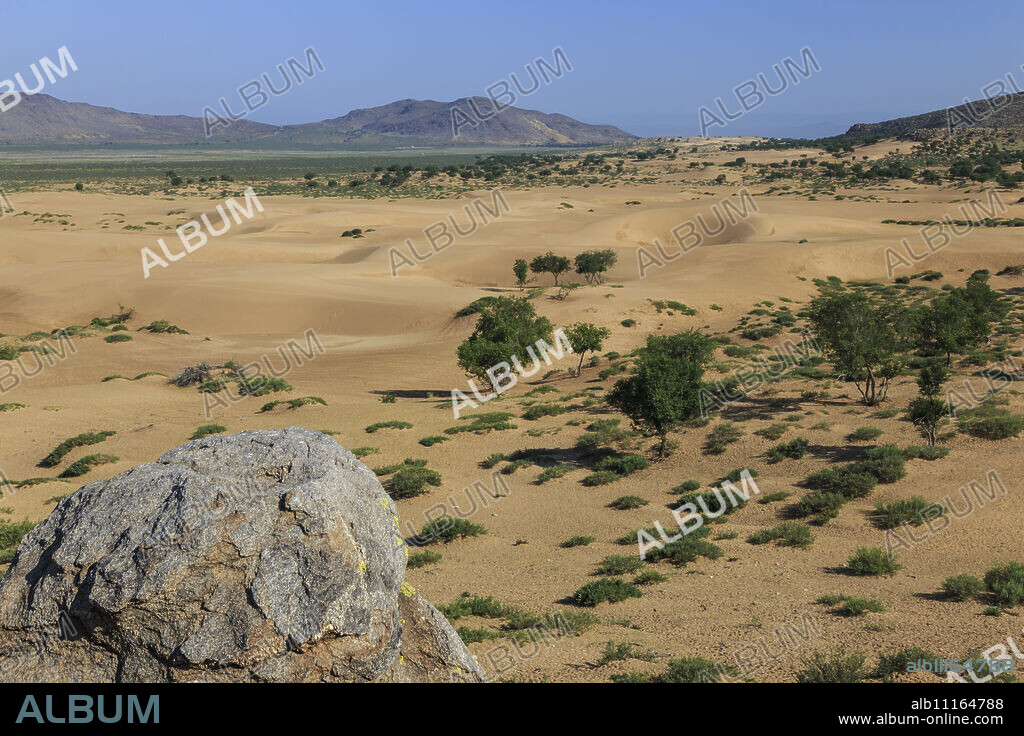 View over Mongol Els sand dunes on a summer morning, Khogno Khan Uul Nature Reserve, Gurvanbulag, Bulgan province, Northern Mongolia, Central Asia, Asia.
