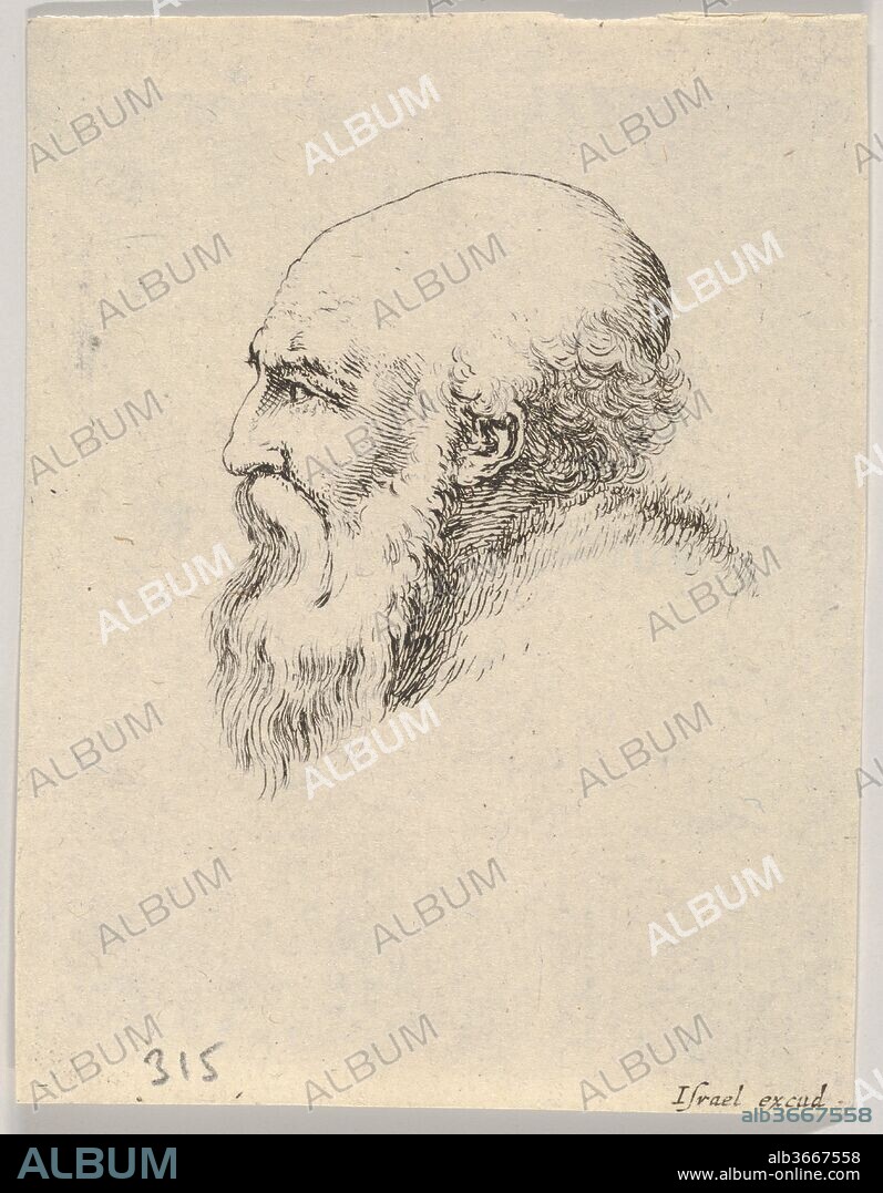 Plate 8: head of an old bald man with a long beard, facing left in profile, from 'Various heads and figures' (Diverses têtes et figures). Artist: Stefano della Bella (Italian, Florence 1610-1664 Florence). Dimensions: Sheet: 3 1/4 x 2 1/2 in. (8.3 x 6.4 cm). Publisher: Israël Henriet (French, Nancy ca. 1590-1661 Paris). Series/Portfolio: 'Various heads and figures' (Diverses têtes et figures). Date: 1650.