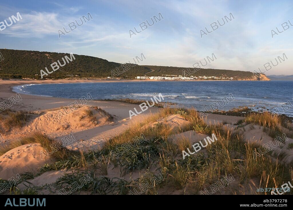 Varadero creek or Marisucia, Caños de Meca, Barbate, Cadiz province, Region of Andalusia, Spain, Europe.