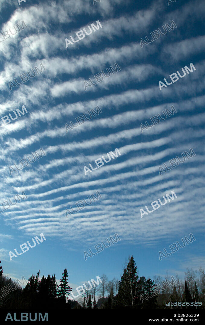 Altocumulus undulatus (mackerel sky) cloud formation in Northern Ontario, Canada. The rippled appearance of these high altitude clouds are the result of wind shear and they are often indicative of deteriorating weather conditions.