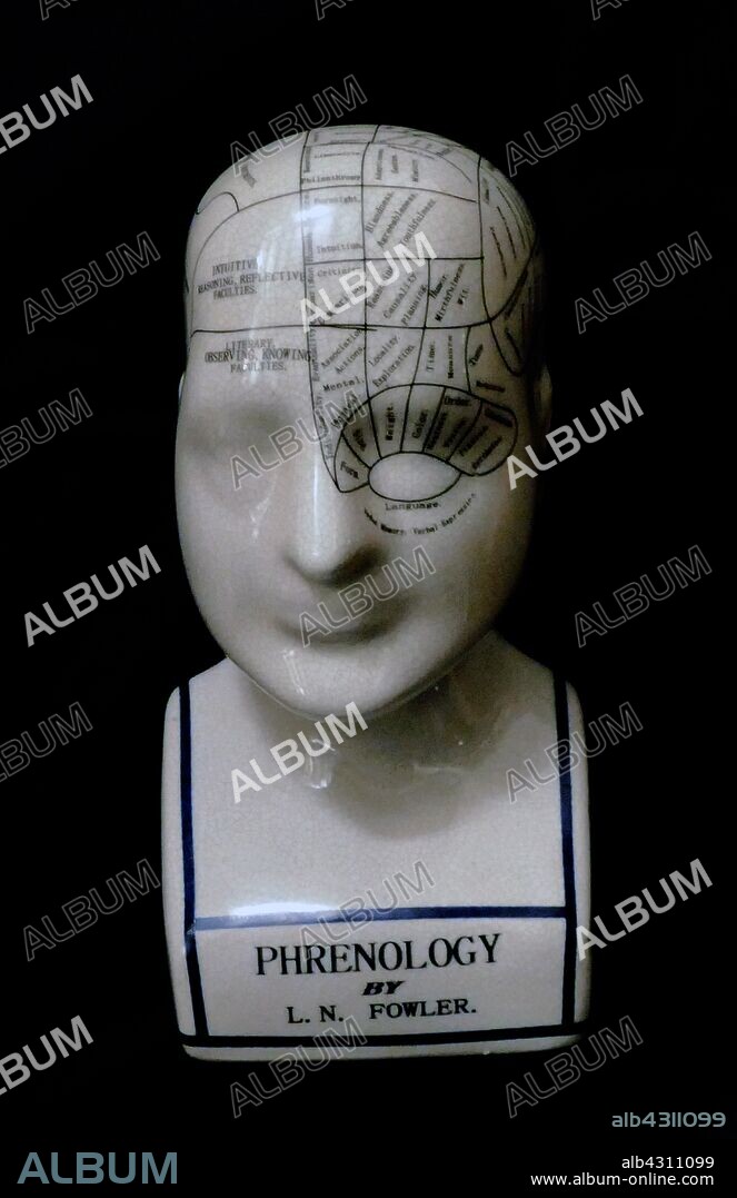 Phrenological head showing chart of areas of the brain. Phrenology is a pseudo medicine, primarily focused on measurements of the human skull, based on the concept that the brain is the organ of the mind, and that certain brain areas have localized, specific functions or modules. Developed by German physician Franz Joseph Gall in 1796, the discipline was very popular in the 19th century.