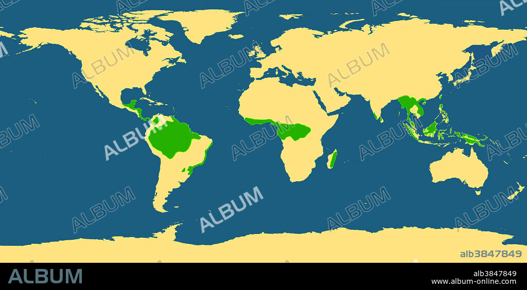Outline of world map, showing areas covered in tropical rainforest (in green).