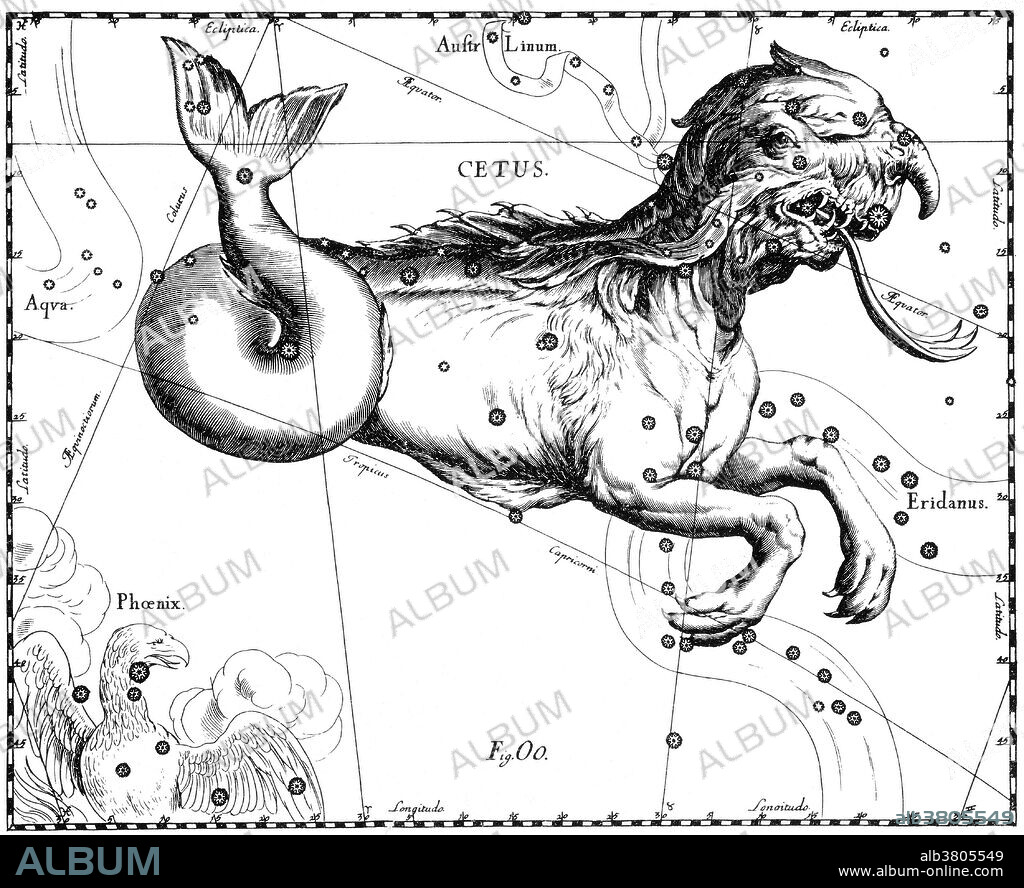 Cetus constellation from Johannes Hevelius' Prodromus astronomiae, Firmamentum Sobiescianum, sive Uranographia, 1687. Cetus is one of the 48 constellations described by the 2nd century astronomer Ptolemy, and remains one of the 88 modern constellations defined by the International Astronomical Union. Its name refers to Cetus, a sea monster in Greek mythology. Cetus may have originally been associated with a whale, which would have had mythic status amongst Mesopotamian cultures. It is often now called the Whale, though it is most strongly associated with Cetus the sea monster, who was slain by Perseus as he saved the princess Andromeda from Poseidon's wrath. The Hevelius Firmamentum was the first star atlas to rival Bayer's Uranometria in accuracy, utility, innovation, and influence. Hevelius was perhaps the most active observational astronomer of the last half of the seventeenth century. His star atlas is notable for many reasons. It contains 56 large, double page engraved star maps. The star positions for the charts were derived from his own star catalog, based on his own observations, which was first published along with the atlas. It is unique among the Grand Atlases in choosing to depict the constellations as they would appear on a globe, that is, from the outside looking in, rather than from a geocentric point of view, as Bayer and most others adopted.