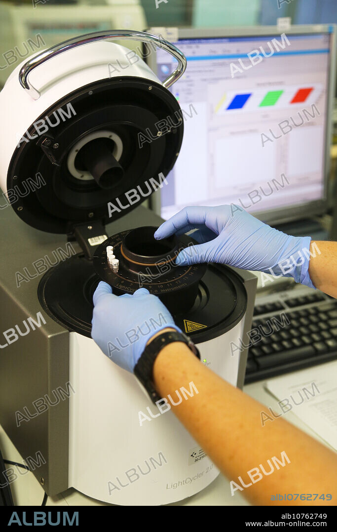 PCR, Lightcycler, Microbiology Department, Donostia Hospital, San Sebastian, Donostia, Gipuzkoa, Basque Country, Spain.