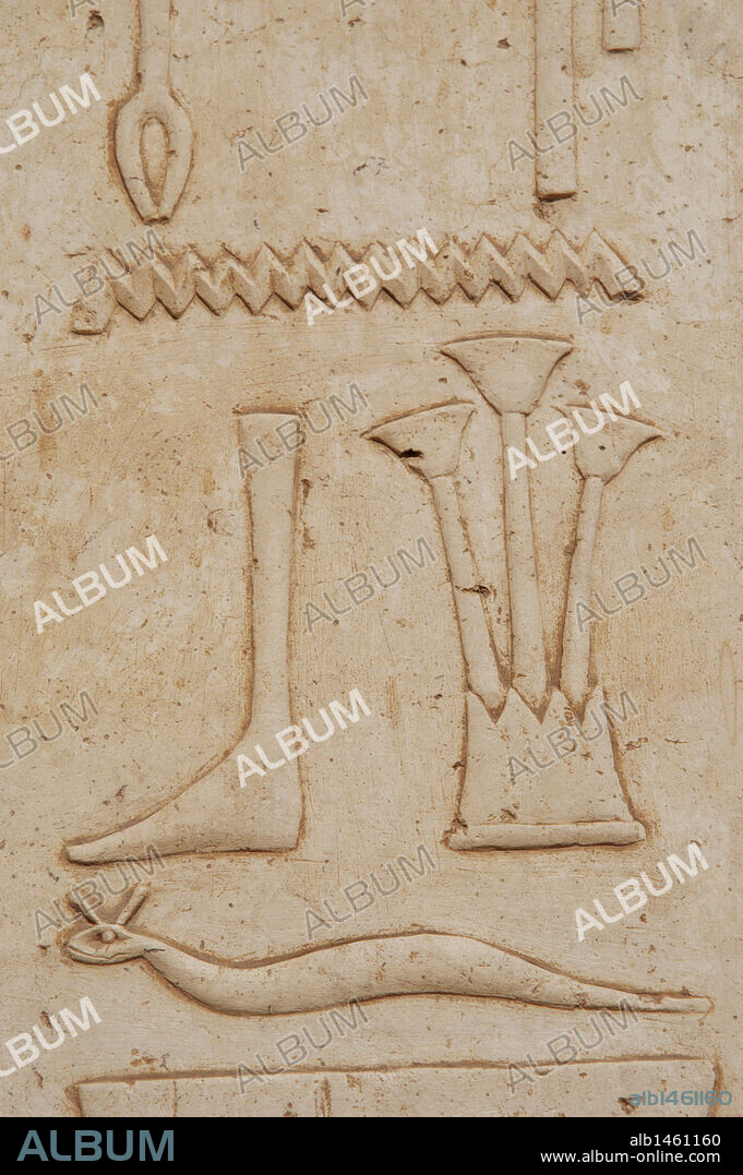 ARTE EGIPCIO. EGIPTO. Detalle de JEROGLIFICOS en relieve. Templo de Hatshepsut. VIII Dinastía. Imperio Nuevo. Egipto.