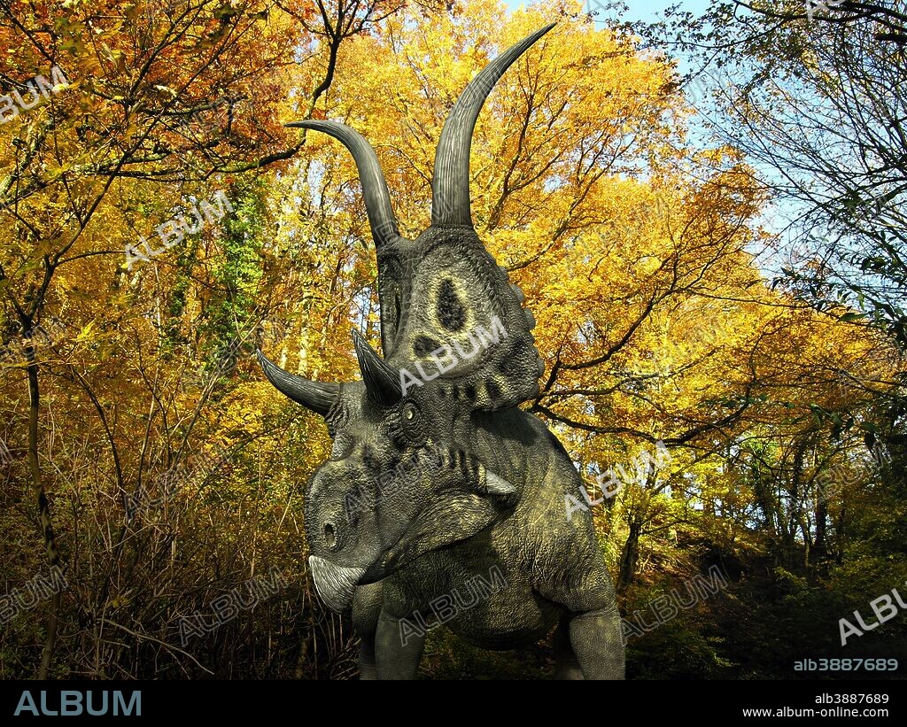 A one ton, 20 foot long Diabloceratops wanders a Cretaceous forest 70 million years ago in what is today Utah.. . Like the better known Triceratops, Diabloceratops was a Ceratopsid, a large four-legged plant-eating dinosaur characterized by beaks, rows of shearing teeth in the back of the jaw, and elaborate horns and frills. While they resemble defensive shields, the frills are in fact relatively fragile, suggesting that they may have served a purpose other than protecting against a brute force attack. One possibility is that the frills were employed as visual displays in order to intimidate rivals and attract the opposite sex.