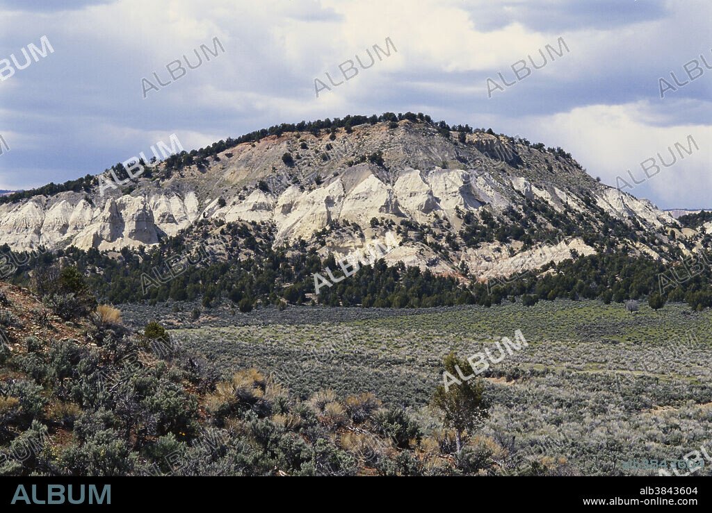 These White Cliffs of the Skutumpah Valley make up the middle step of the Grand Staircase in Grand Staircase Escalante National Monument, Utah, between the higher elevation Pink Cliffs (Bryce Canyon region) and the lower Vermilion Cliffs.