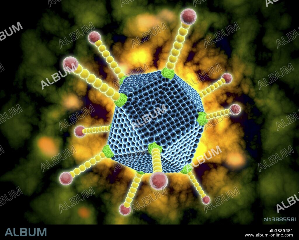 Conceptual image of the common cold virus. The common cold virus is an infectious disease typically transmitted via airborne droplets (aerosols), direct contact with infected nasal secretions, or contaminated objects.