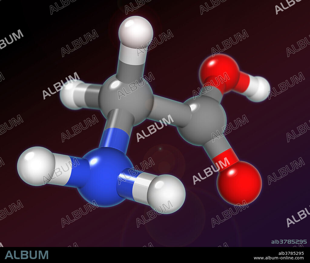 A molecular model of glycine, the smallest of the 20 common amino acids that can be synthesized in the human body, but can also be found in certain food supplements. Glycine acts as a building block for other proteins, and is also an inhibitory neurotransmitter in the central nervous system. Commercially, glycine has been utilized as a sweetener in certain foods, as well as a buffering agent in antacids and analgesics. Atoms are coloured dark grey (carbon), light grey (hydrogen), red (oxygen) and blue (nitrogen).