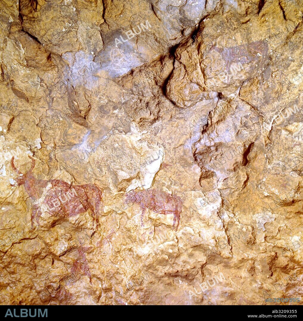 CUEVA DE LOS LETREROS (93), PINTURAS RUPESTRES, ARTE FIGURATIVO, ANIMALES CAPRIDOS, CERVIDOS Y BOVIDOS (CABRAS, CIERVOS Y TOROS)  . ALMERÍA, ANDALUCIA, ESPAÑA.