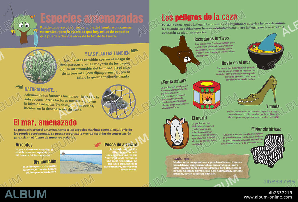 ENDANGERED SPECIES. Infographic about the dangers of illegal hunting and the overexploitation of marine resources.