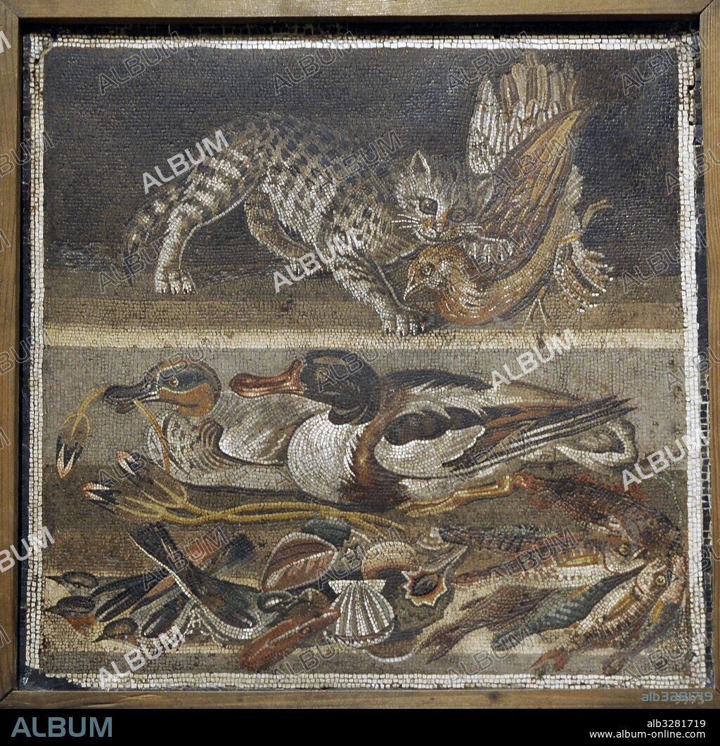 Mosaico romano. En al franja superior, gato dando muerte a un ave de corral. En la parte inferior bodegón de patos, aves, peces y conchas. Pieza procedente de la Casa del Faunto (IV, 12, 2). Ciudad de Pompeya, sur de Italia. Museo Arqueológico Nacional. Nápoles. Italia.
