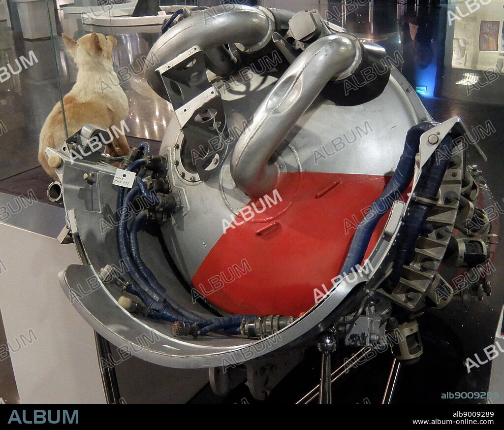 Korabl-Sputnik 2 (Sputnik 5) on board which, Dogs Belka and Strelka, spent a day in space, on 19 August 1960 before safely returning to Earth. They were accompanied by a grey rabbit, 42 mice, two rats, flies and several plants and fungi. All passengers survived. They were the first Earth-born creatures to go into orbit and return alive.