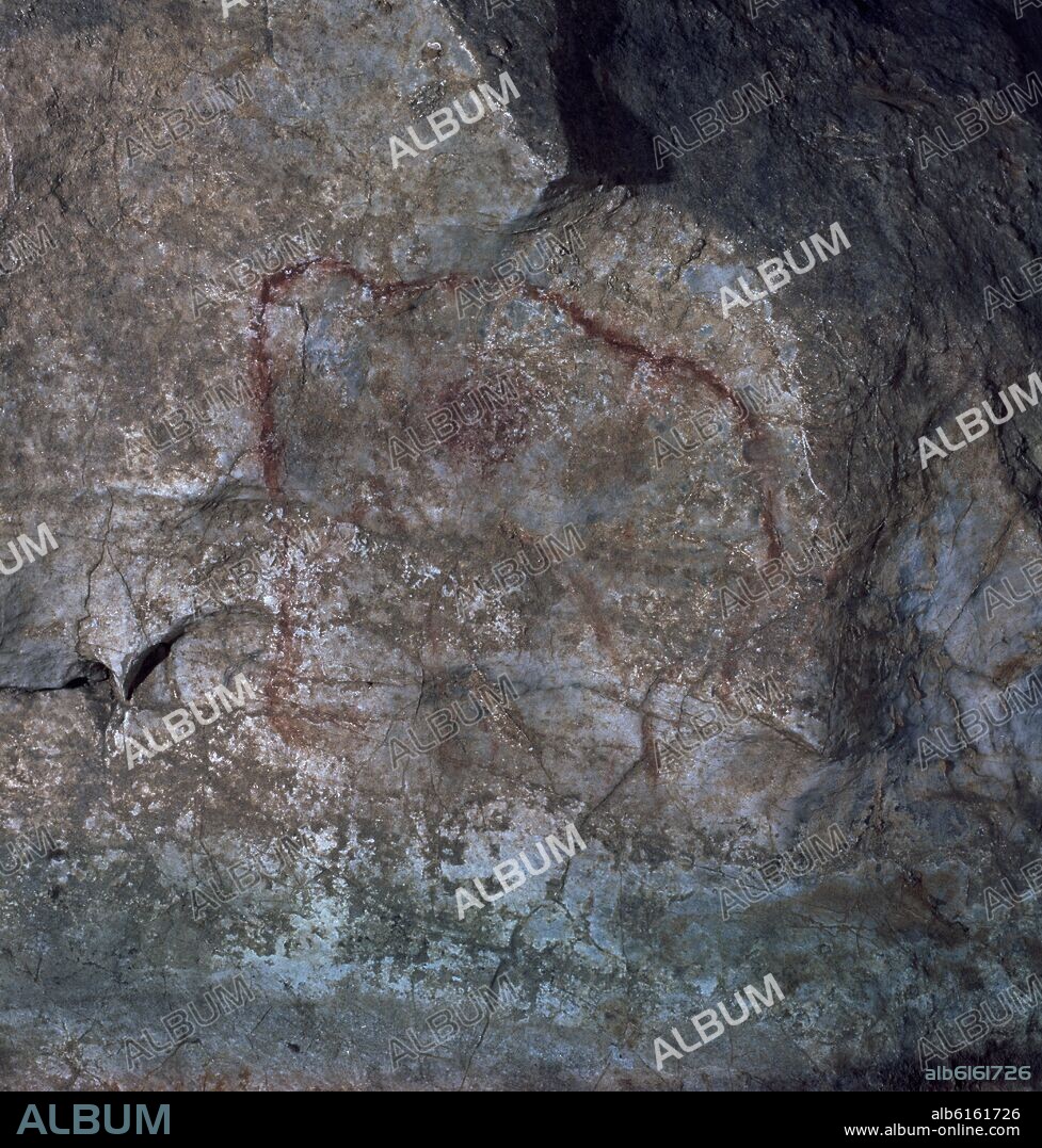 PINTURA RUPESTRE DE BISONTE O MAMUT HERIDO-PALEOLITICO SUPERIOR.
