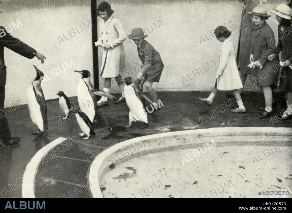 'At the London Zoo - at the Penguin Pool', 1939, (1947). The future Queen Elizabeth II in the penguin enclosure designed by Berthold Lubetkin. From "Princess Elizabeth: The Illustrated Story of Twenty-one Years in the Life of the Heir Presumptive", by Dermot Morrah. [Odhams Press Limited, London, 1947].