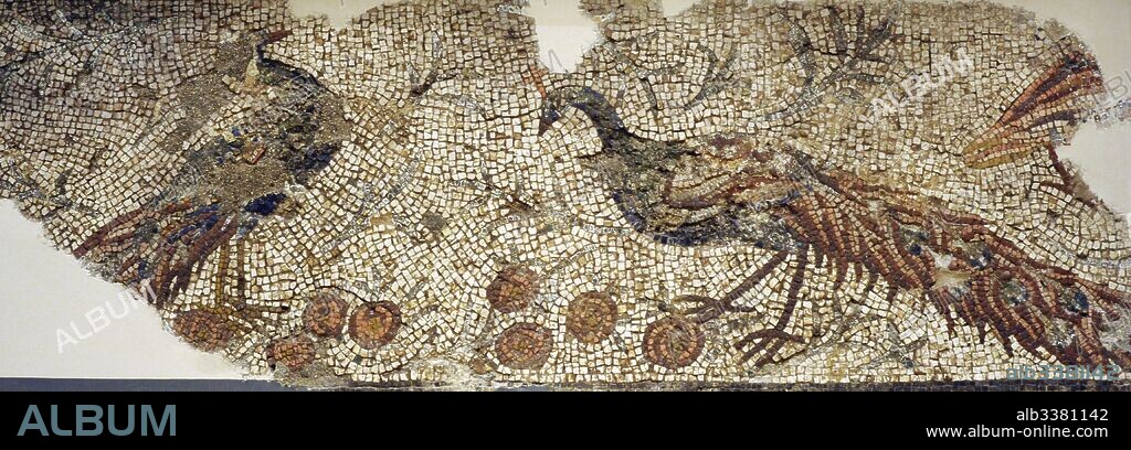 Mosaico de Pavos Reales. Mediados del siglo III d. C. Tarragona. Museo Nacional Arqueológico. Tarragona, Cataluña, España. Roman era. Mosaic of peacocks. 3rd century A. D. Tarragona. Spain. National Archeological Museum. Tarragona. Catalonia, Spain.