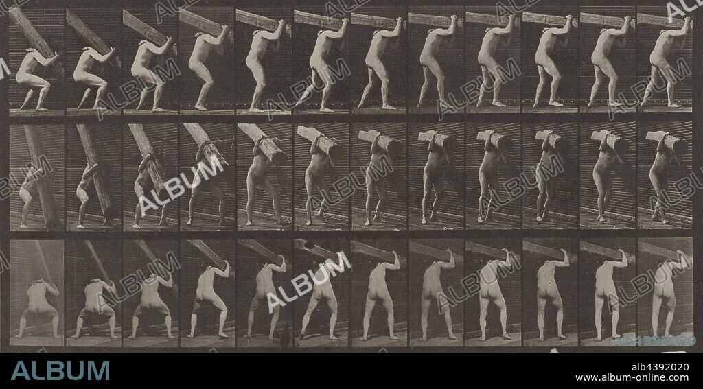 Man Lifting Beam: Plate 383, Eadweard Muybridge (British, 1830-1904), 1887, ink on paper, collotype, 7-1/2 x 14-3/4 in. (image) 19 x 22-7/8 in. (sheet), series, Animal Locomotion.
