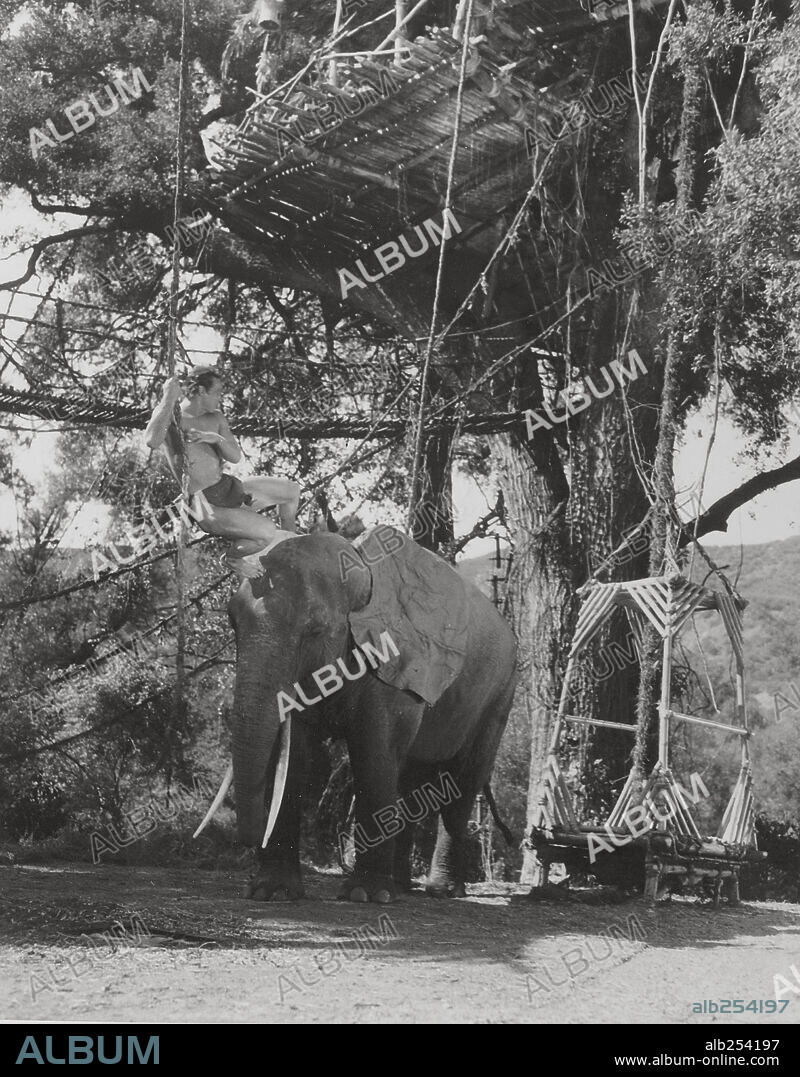 JOHNNY WEISSMULLER en LA FUGA DE TARZÁN, 1936 (TARZAN ESCAPES), dirigida por RICHARD THORPE. Copyright M.G.M.
