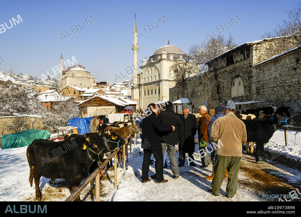 Cattle fair during the feast of sacrifice. Izzet Pasa Camii Mosque (1796) and Köprülü Mehmet Pasa Camii Mosque (1661). Safranbolu ( World Heritage Site by Unesco). Central Anatolia.Turkia.