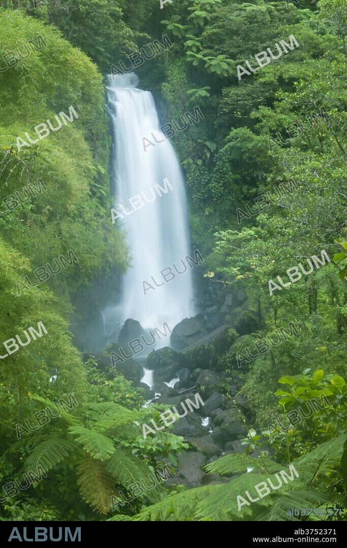 Trafalgar Falls, Roseau Valley, Morne Trois Pitons National Park, UNESCO World Heritage Site, Dominica, Windward Islands, West Indies, Caribbean, Central America.