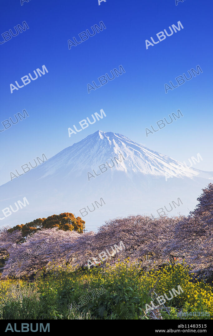 Mount Fuji, 3776m, UNESCO World Heritage Site, Yamanashi Prefecture, Honshu, Japan, Asia.