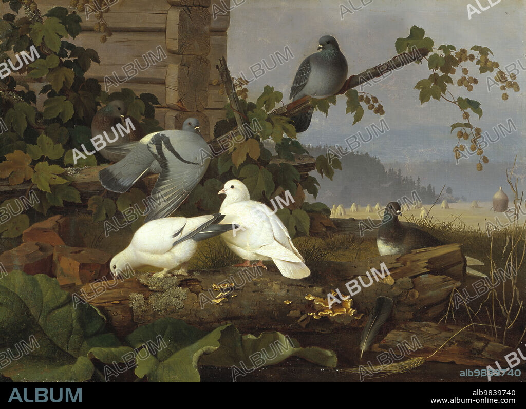 FERDINAND VON WRIGHT. Pigeons, 19th-early 20th century. Birds, hops, fungi and wheat.