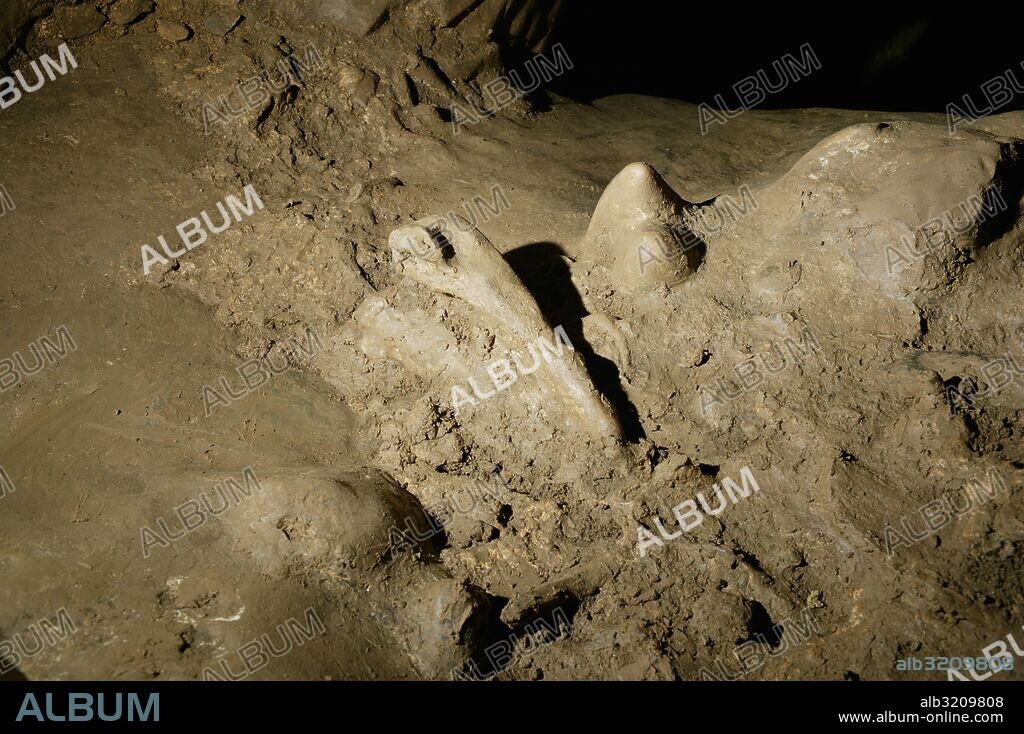 CUEVA DEL REGUERILLO. POSIBLE HUESO DE OSO. PANELES CON ARTE, GRABADOS Y PINTURA  COMIUNIDAD DE MADRID. ESPAÑA.