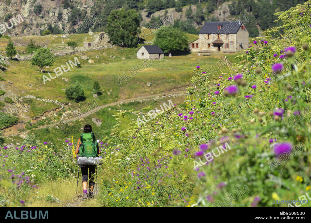 granjas de biadós, Valle de Añes Cruces, parque natural Posets-Maladeta, Huesca, cordillera de los Pirineos, Spain.