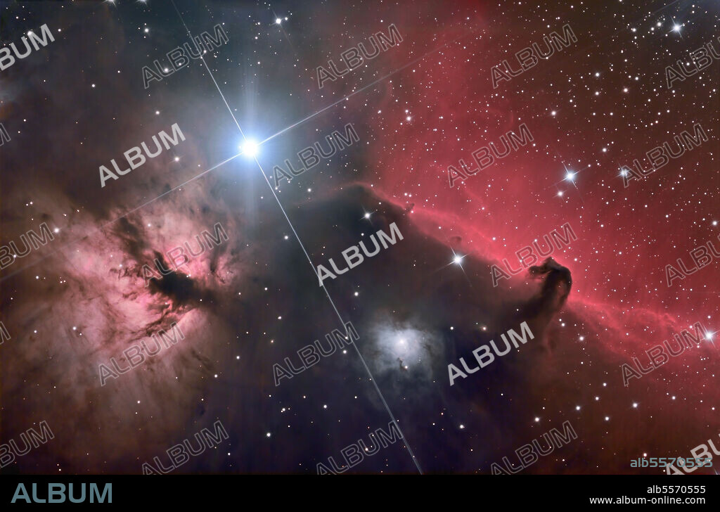 The Horsehead Nebula (also known as Barnard 33 in bright nebula IC 434) is a dark nebula in the Orion constellation. The nebula is located just below Alnitak, the star furthest left on Orion's Belt, and is part of the much larger Orion Molecular Cloud Complex. It is approximately 1500 light years from Earth. The Flame Nebula, designated as NGC 2024, is about 900 to 1,500 light-years away. Additional dark gas and dust lies in front of the bright part of the Flame nebula and this is what causes the dark network that appears in the center of the glowing gas.