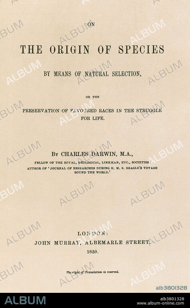 Title page of Darwin's "On The Origin Of Species By Means of Natural Selection", 1859. In this book, Darwin suggested that natural variation in a species creates a wide range of individual characteristics. Competition to survive in nature provides a driving force for evolution in the form of natural selection, a mechanism which weeds out those individuals possessing traits less suitable to the environment. The implications of his theory to man's own origins fueled a bitter controversy with the church. Charles Robert Darwin (February 12, 1809 - April 19, 1882) was an English naturalist, geologist and biologist. Puzzled by the geographical distribution of wildlife and fossils he collected on the five-year voyage on HMS Beagle, Darwin began detailed investigations and in 1838 conceived his theory of natural selection. He was writing up his theory in 1858 when Alfred Russel Wallace sent him an essay that described the same idea, prompting immediate joint publication of both of their theories. In 1871 he examined human evolution and sexual selection in The Descent of Man, and Selection in Relation to Sex, followed by The Expression of the Emotions in Man and Animals (1872). Darwin has been described as one of the most influential figures in human history. He died in 1882, at the age of 73, and he was honored by burial in Westminster Abbey.