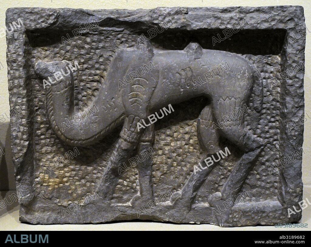 Fragmento de decoración arquitectónica de un edificio. Relieve con la representación de un camello. Esquisto. Siglo XIV, principios del siglo XV. Kubachi. Caucaso. Museo del Hermitage (The State Hermitage Museum). San Petersburgo. Rusia.