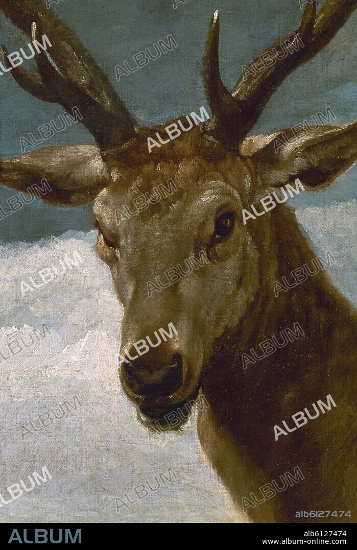 DIEGO VELAZQUEZ (1599-1660). CABEZA DE VENADO - HACIA 1634 - O/L 66x52 - NP 3253 - BARROCO ESPAÑOL.