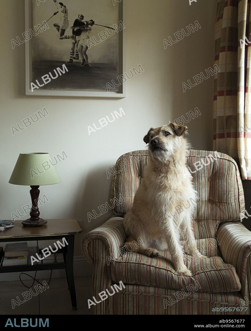 ROISE Y FRANK, 2022 (ROISE & FRANK), dirigida por PETER MURPHY y RACHAEL MORIARTY. Copyright Macalla.