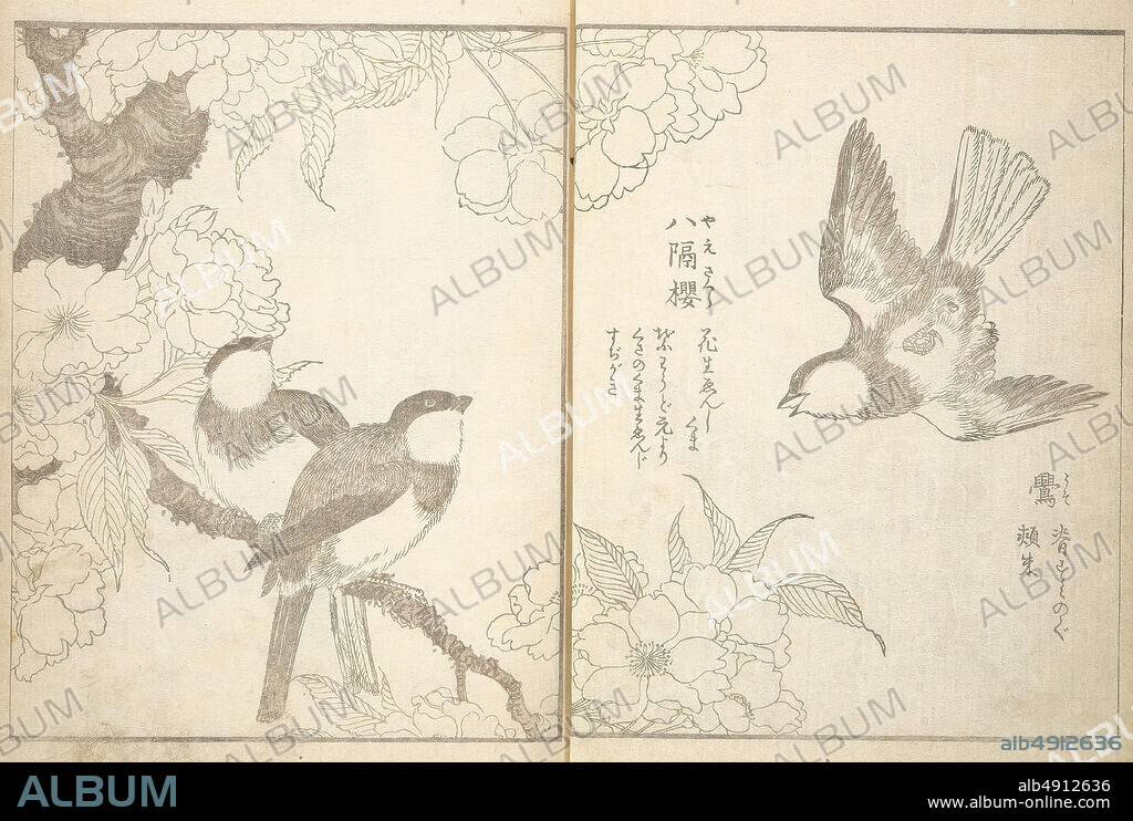 Kitao Shigemasa, True Depictions of Bird and Flower Pictures (Kache shashin zue), Japan, Edo period (16151868), Kitao Shigemasa (Japanese, 17391820), et al, 1805, Japan, Set of three woodblock printed books; ink on paper, each: 8 7/8 × 6 1/4 in. (22.5 × 15.8 cm), Illustrated Books.