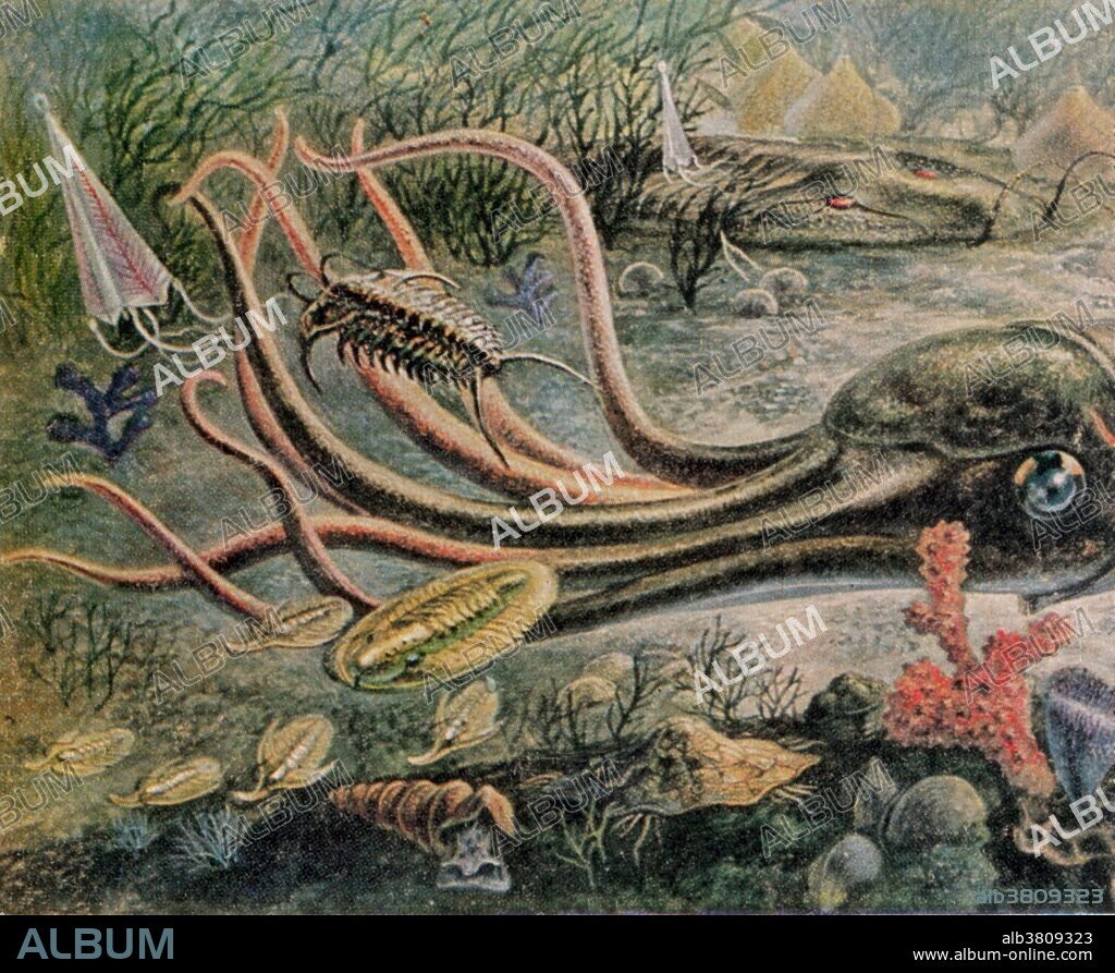 The Paleozoic Era is the earliest of three geologic eras of the Phanerozoic Eon, spanning from 541 to 252.17 million years ago. The Paleozoic was a time of dramatic geological, climatic, and evolutionary change. The Cambrian Period witnessed the most rapid and widespread diversification of life in Earth's history in which most modern phyla first appeared. Fish, arthropods, amphibians, anapsida, synapsida, euryapsida and diapsida all evolved during the Paleozoic. Great forests of primitive plants covered the continents, many of which formed the coal beds of Europe and eastern North America. The Paleozoic Era ended with the largest mass extinction in Earth's history, the Permian-Triassic extinction event. The effects of this catastrophe were so devastating that it took life on land 30 million years into the Mesozoic Era to recover. Recovery of life in the sea may have been much faster.