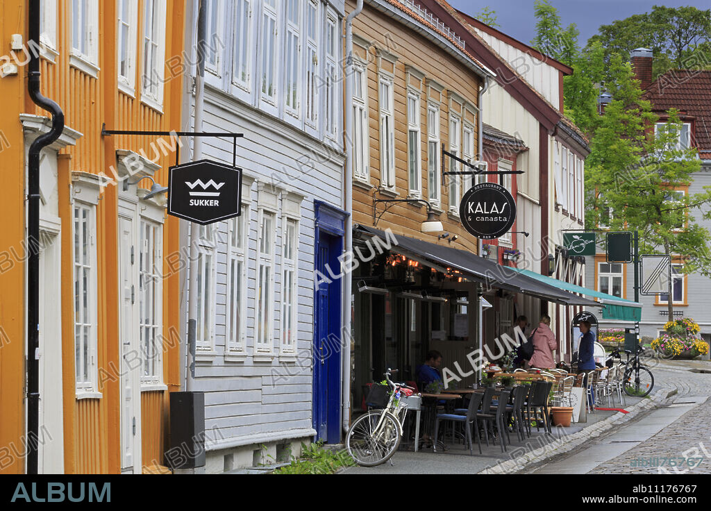 Mollenberg District, Trondheim City, Trondelag County, Norway, Scandinavia, Europe.
