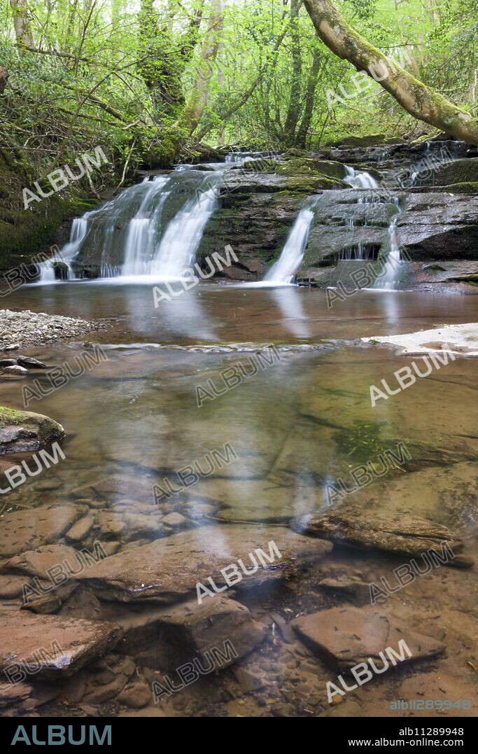 Waterfalls on the River Ennig at Pwll-y-Wrach Nature Reserve near Talgarth, Brecon Beacons National Park, Powys, Wales, United Kingdom, Europe.