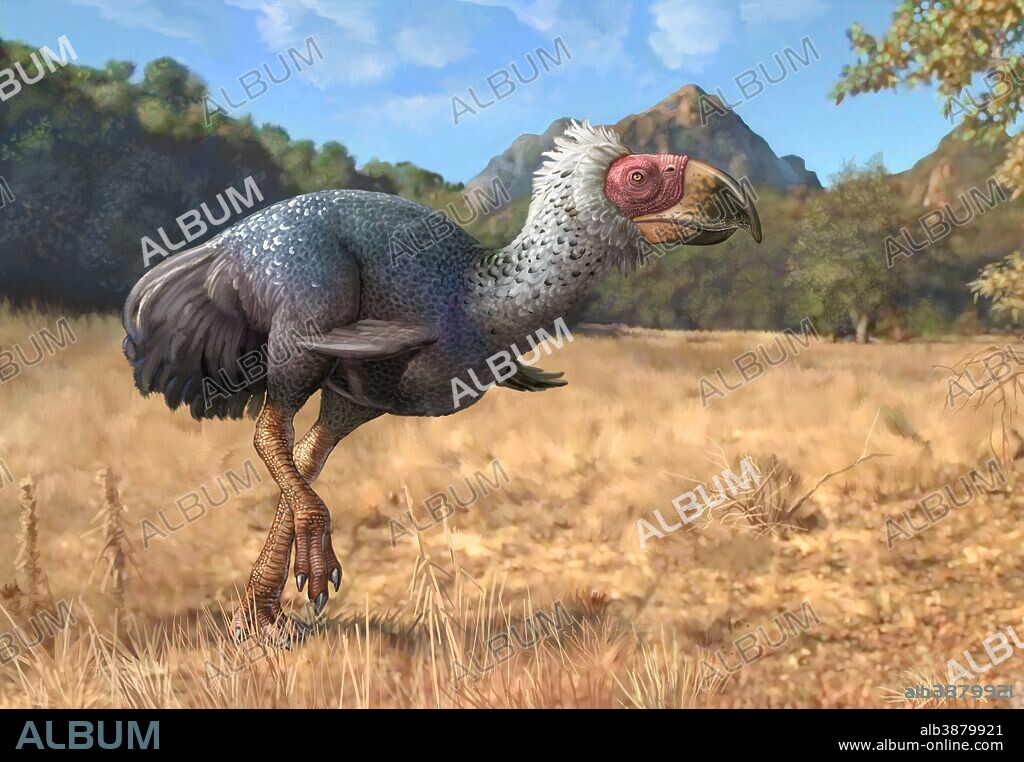 Titanis walleri, a flightless carnivorous bird from the Pleistocene epoch.