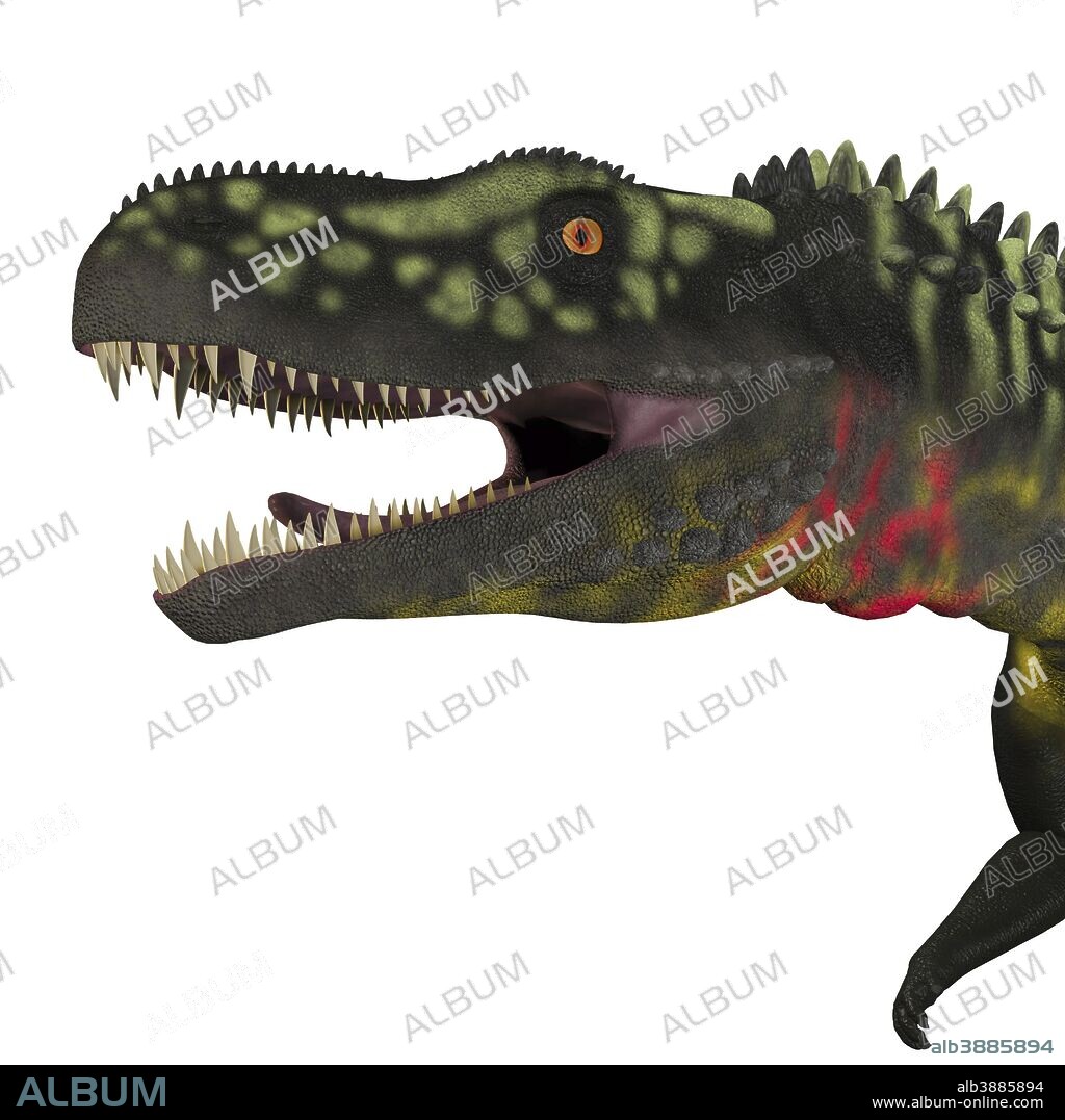 Arizonasaurus portrait on white background. Arizonasaurus was a sailback carnivorous archosaur that lived in Arizona, North America in the Triassic Period.