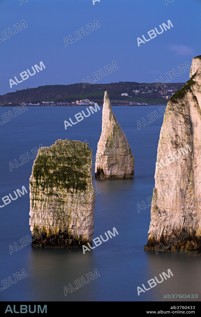 The famous chalk stacks The Pinnacles in the sea beside Ballard Down with views to Swanage in the background, Jurassic Coast, UNESCO World Heritage Site, Dorset, England, United Kingdom, Europe.