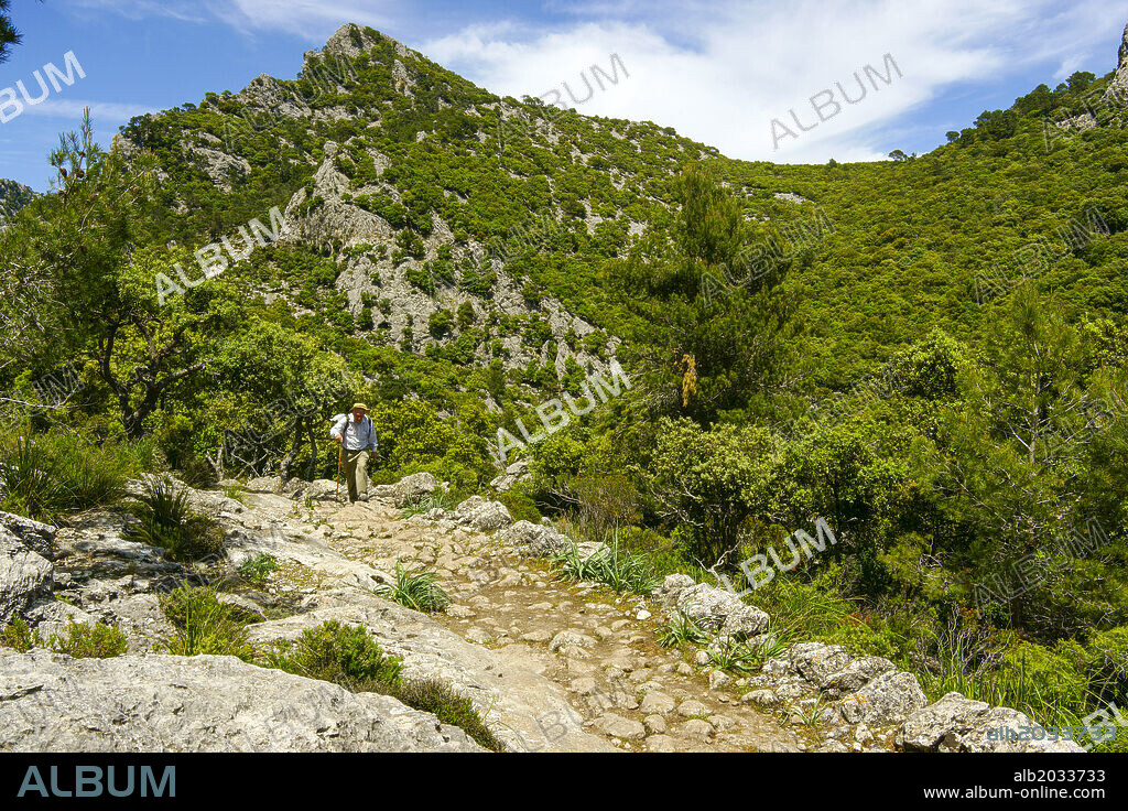 Path from Es Tossals Verds to Coll des Coloms. Long-distance trail GR 221. Tramuntana Mountains. Mallorca. Balearic Islands. Spain.